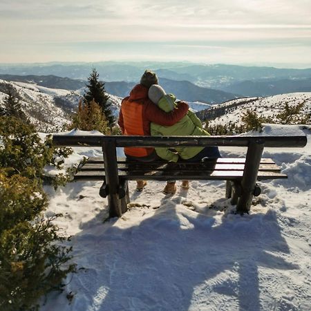 Villa Teodora Kopaonik Dış mekan fotoğraf